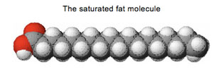 saturated fat